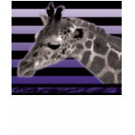 Purple Jerry t-shirts