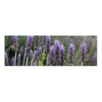 Purple Lavendar Business Card