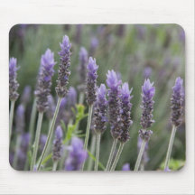 Purple Lavendar Mouse Pad