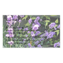 Purple Lavender flowers shining in sun Business Card Template