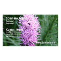 Purple Liatris Business Card