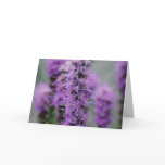 Purple Liatris Flowers Greeting Cards