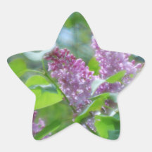 Purple Lilac Flowers Stickers