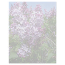 Purple Lilacs Fade25