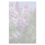 Purple Lilacs Fade25