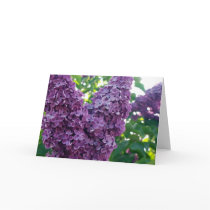 Purple Lilacs Greeting Card