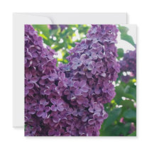 Purple Lilacs Invitation