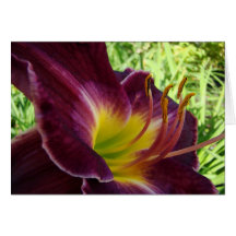 Purple Lily Notecard