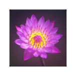 Purple Lotus Flower Stretched Canvas Print