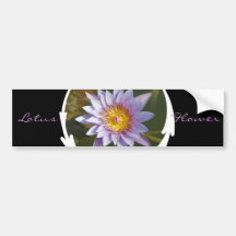 Purple Lotus/Water Lily Bumper Stickers