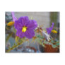 Purple Maggie Products Post Cards