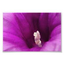 Purple Magic Art Photo