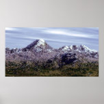 Purple Mountains Poster