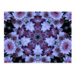 Purple Mum Star Post Cards