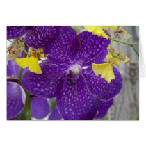 Purple Orchid Card
