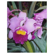 Purple Orchid Custom Flyer