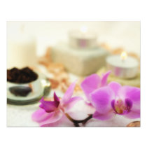 Purple orchid photo