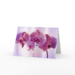Purple Orchids Greeting Card