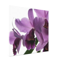 Purple Orchids/Photography Canvas Print