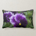 Purple Pansies Decorator Pillow