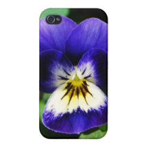 Purple Pansy Covers For iPhone 4