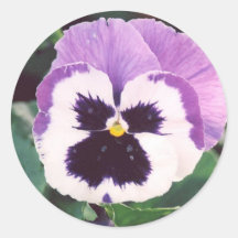 PURPLE PANSY ROUND STICKERS