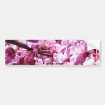purple paradise bumper sticker