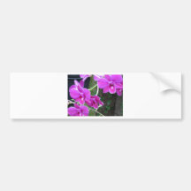 Purple Paradise Orchid Bumper Stickers