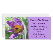 Purple Pasque Flower Wedding Save The Date
