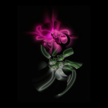 Purple Passion posters