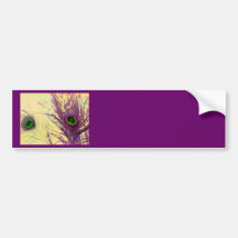 Purple Peacock Feather Bumper Stickers