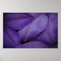 Purple Petal Print