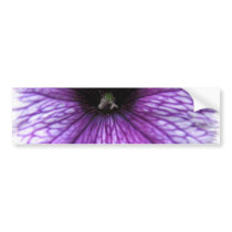Purple Petunia Bumper Sticker
