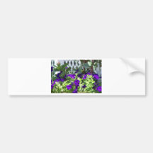 purple petunia bumper stickers