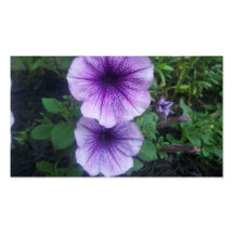 Purple Petunias Business Cards