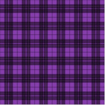 Purple Plaid Photo Cutout