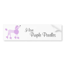Purple Poodle