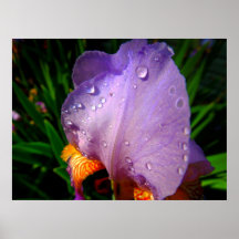 Purple Rain Print
