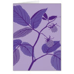 purple raspberry card