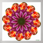 Purple, Red and Yellow Tulips Poster