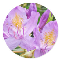 Purple Rhodies Flowers stickers