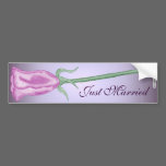 Purple Rose (2) bumper stickers