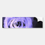 Purple Rose Bumper Sticker