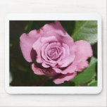 purple rose mousepads