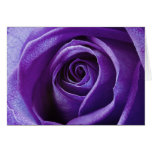 Purple Rose notecard