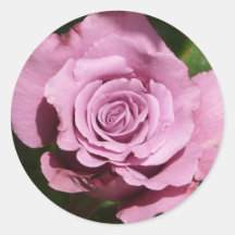 purple rose round sticker