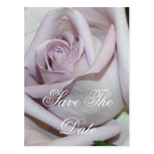 Purple Rose Save The Date Post Card Templates
