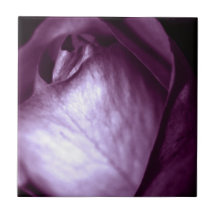 Purple Rose Tile
