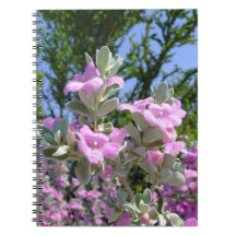 Purple Sage flowers notebook