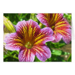 Purple Salpiglossis Sinuata Flower Card